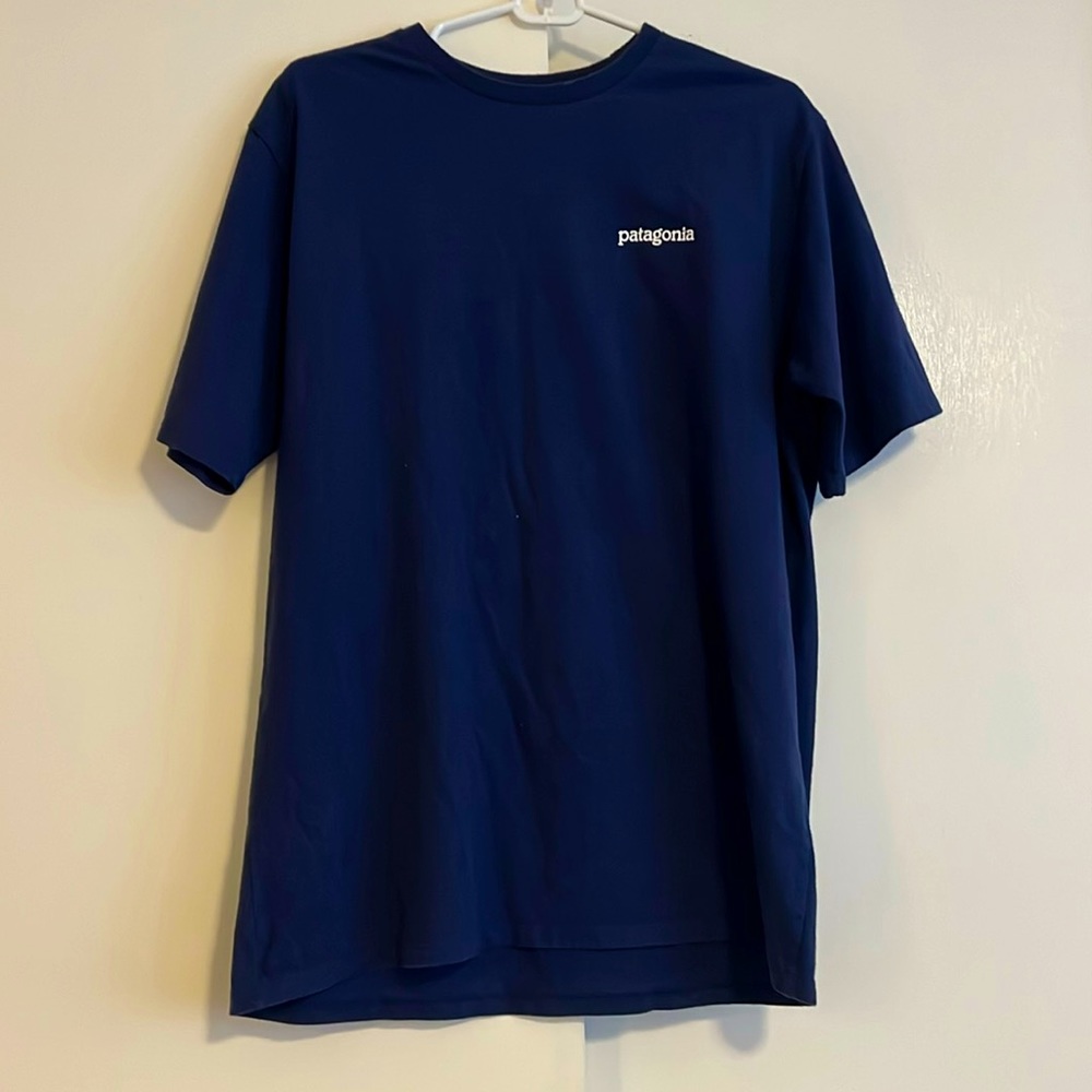 Patagonia tee